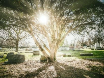 Cimiteri Comunali