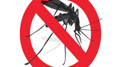 disinfestazione-zanzare-640x480 disinfestazione-zanzare-640x480